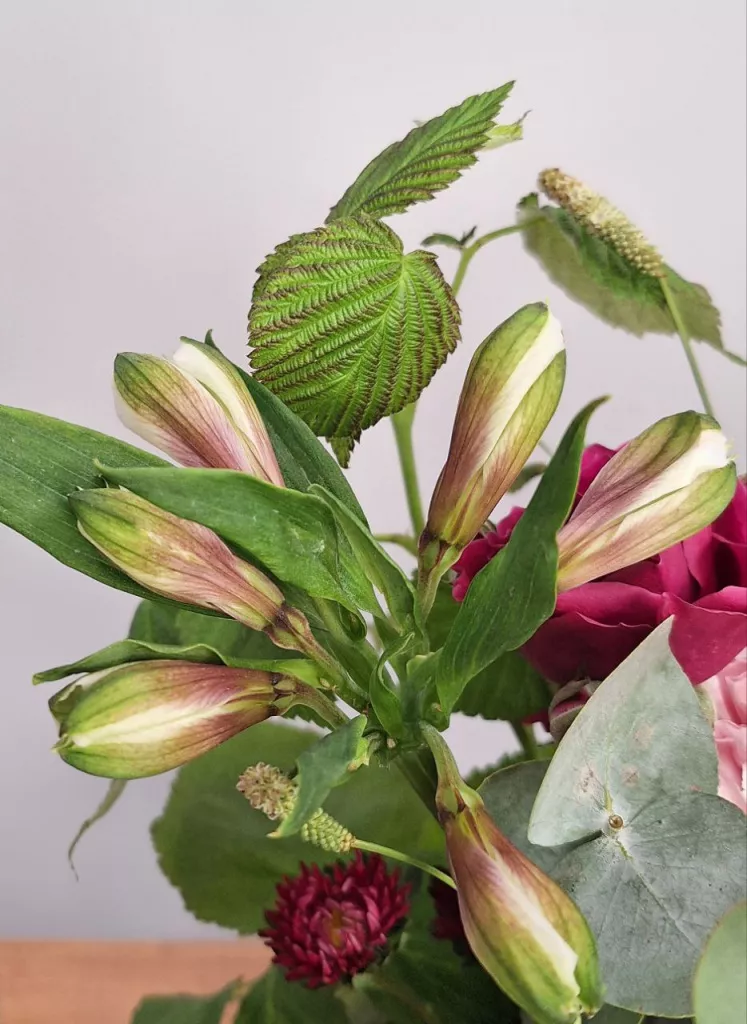 Цветы в конверте "Вкус малины"