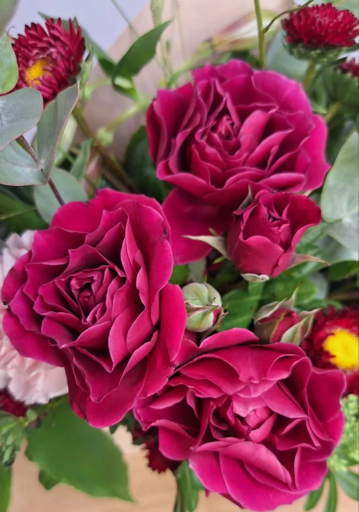 Цветы в конверте "Вкус малины"